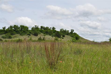 1849 Two Bush Road Perrin TX 76486
