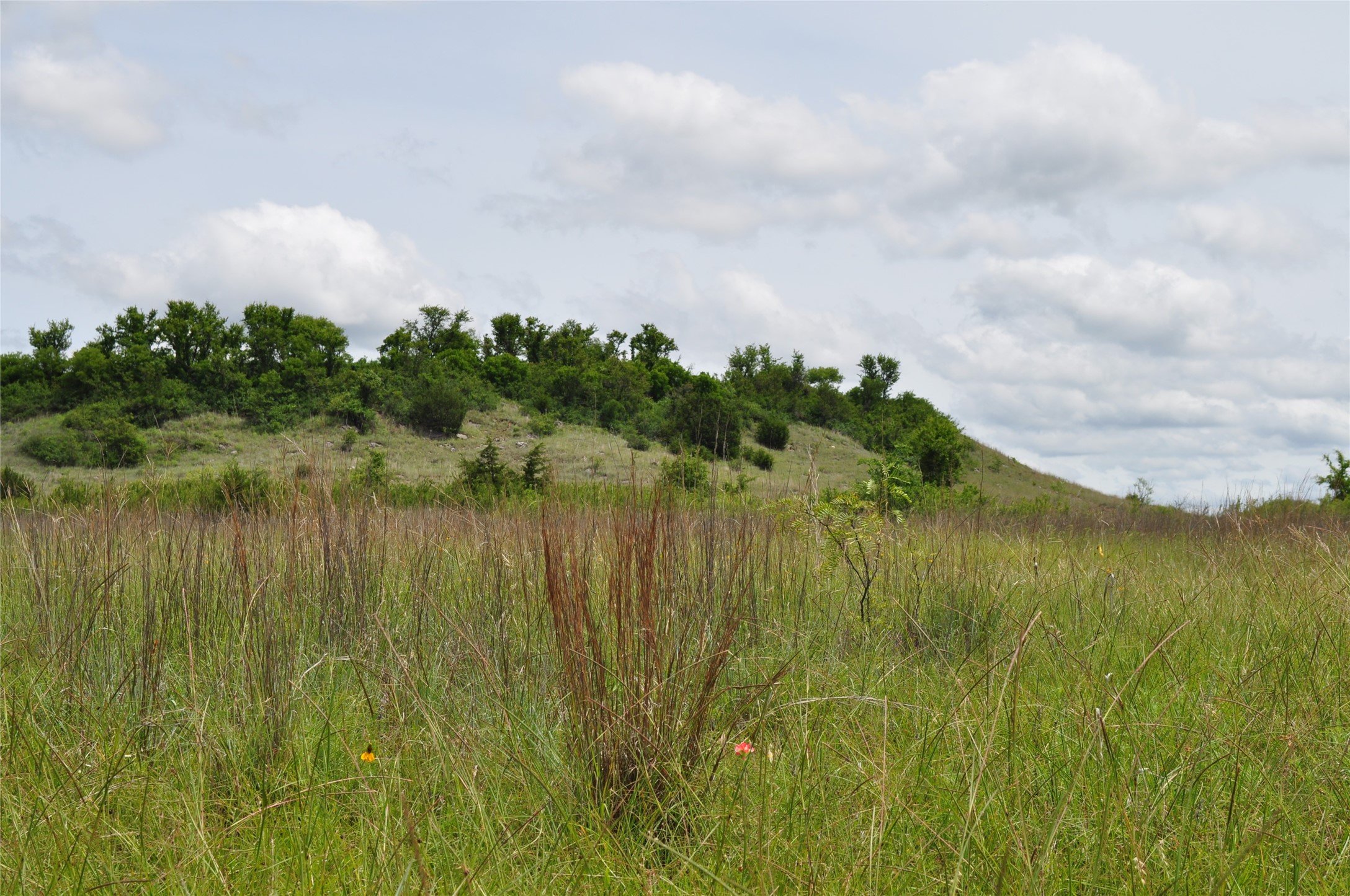 1849 Two Bush Road Perrin TX 76486