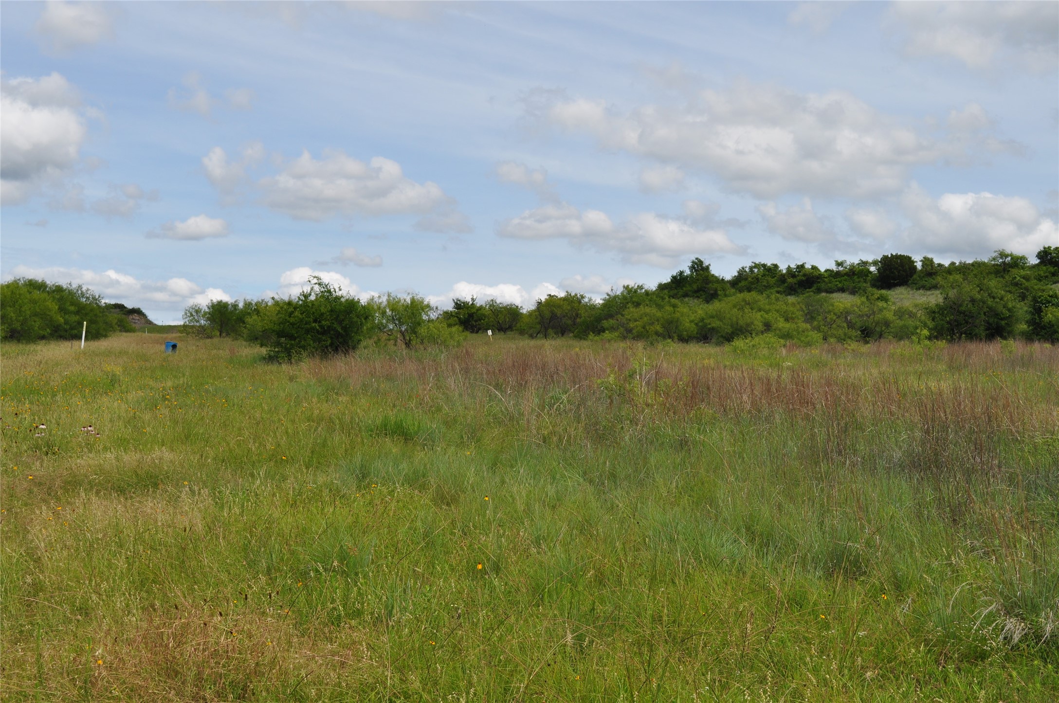 1849 Two Bush Road Perrin TX 76486