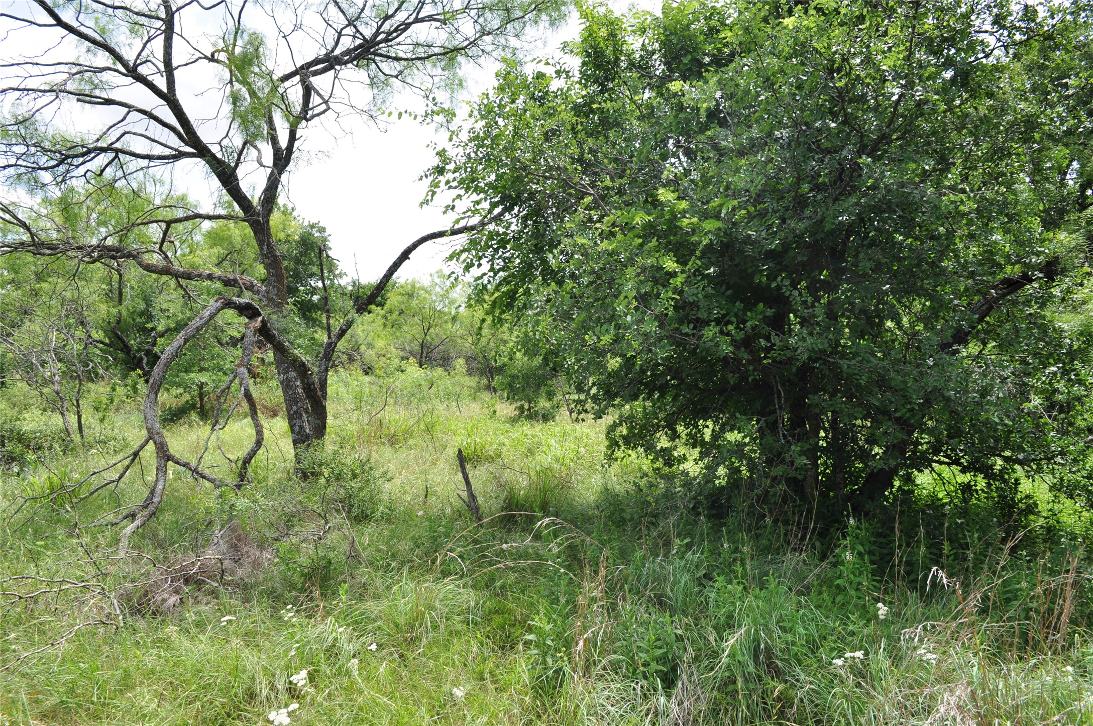 1849 Two Bush Road Perrin TX 76486