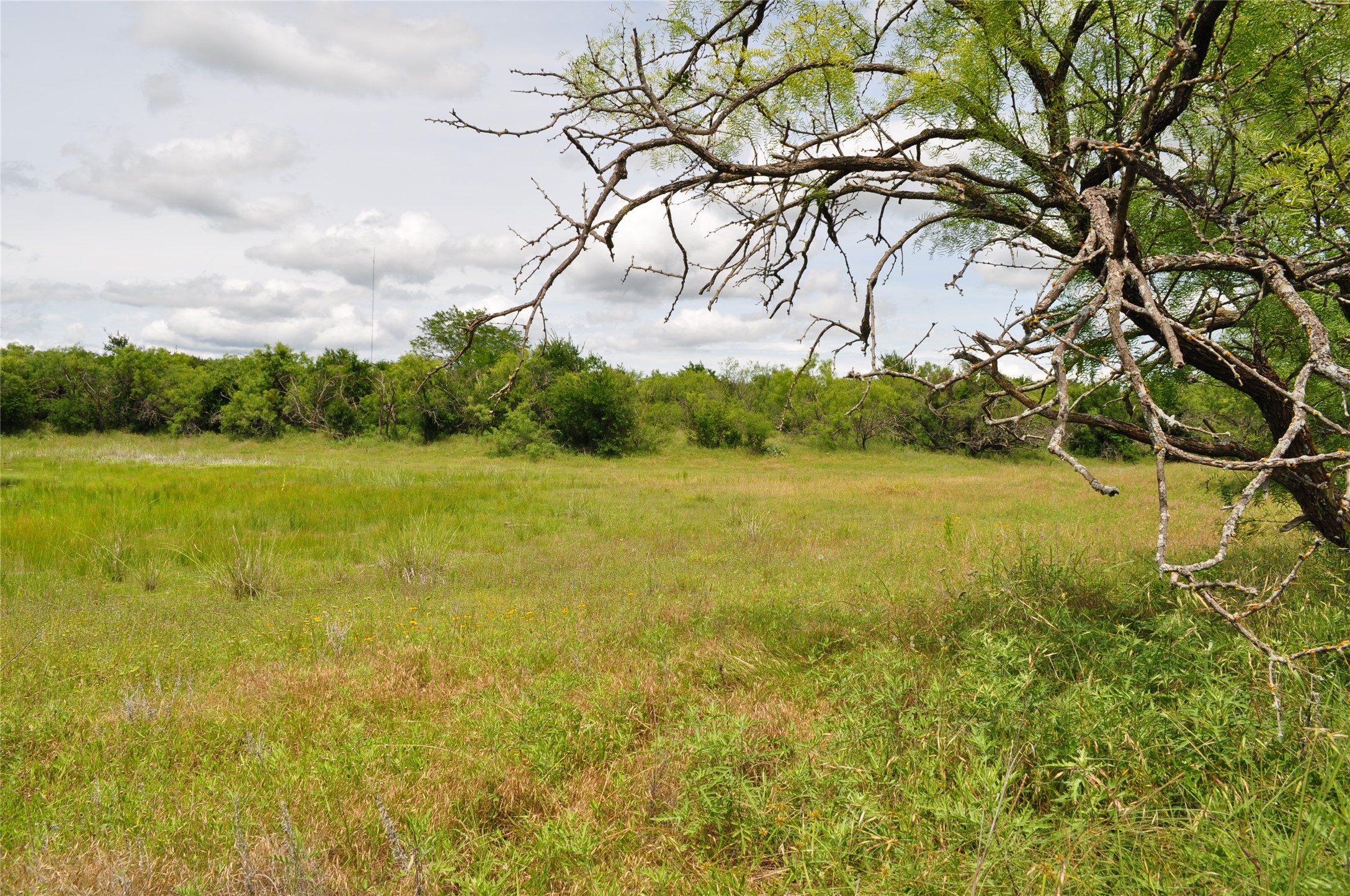 1849 Two Bush Road Perrin TX 76486