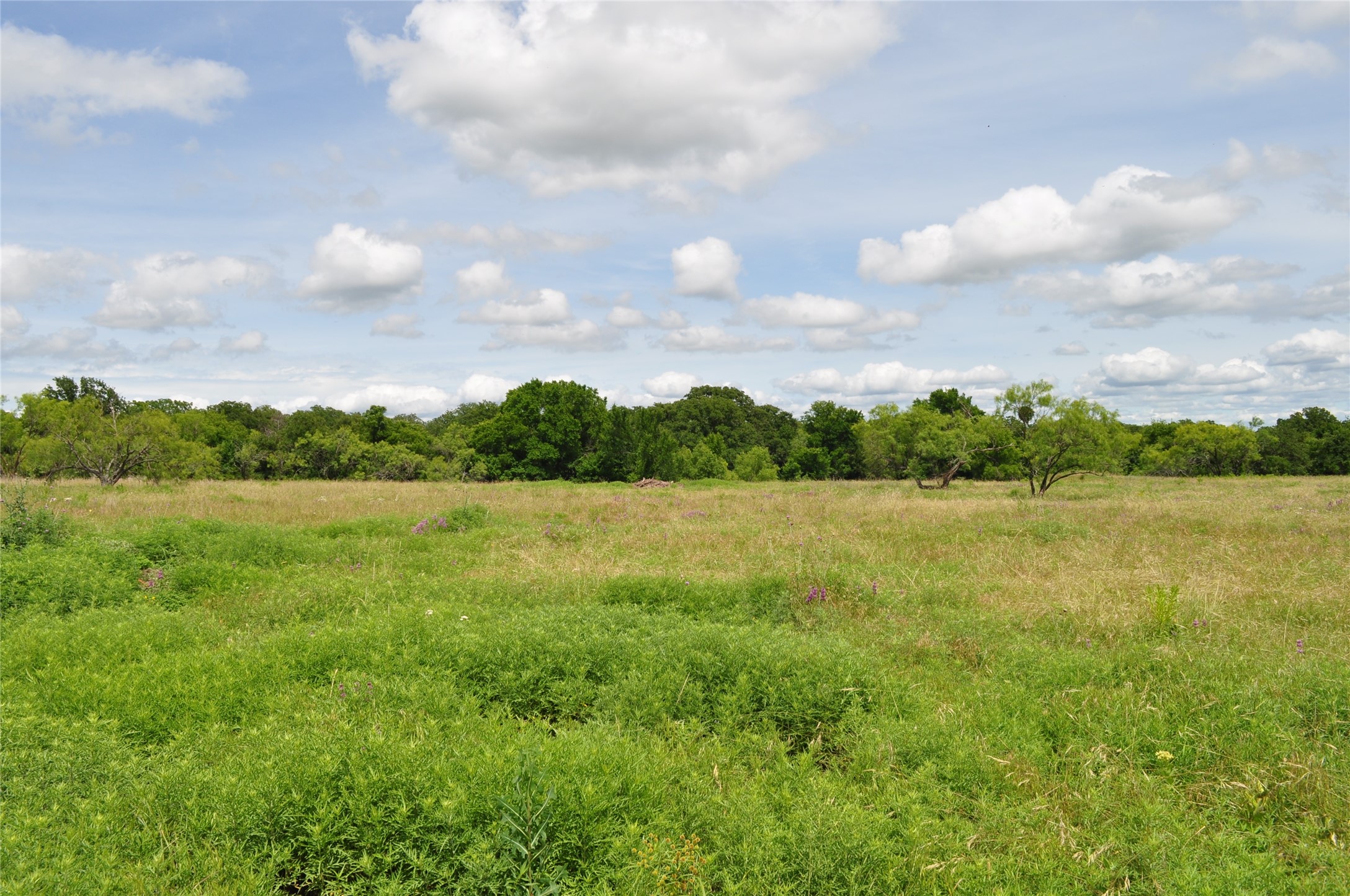 1849 Two Bush Road Perrin TX 76486