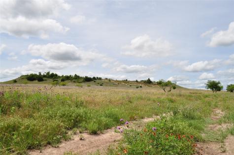 1849 Two Bush Road Perrin TX 76486