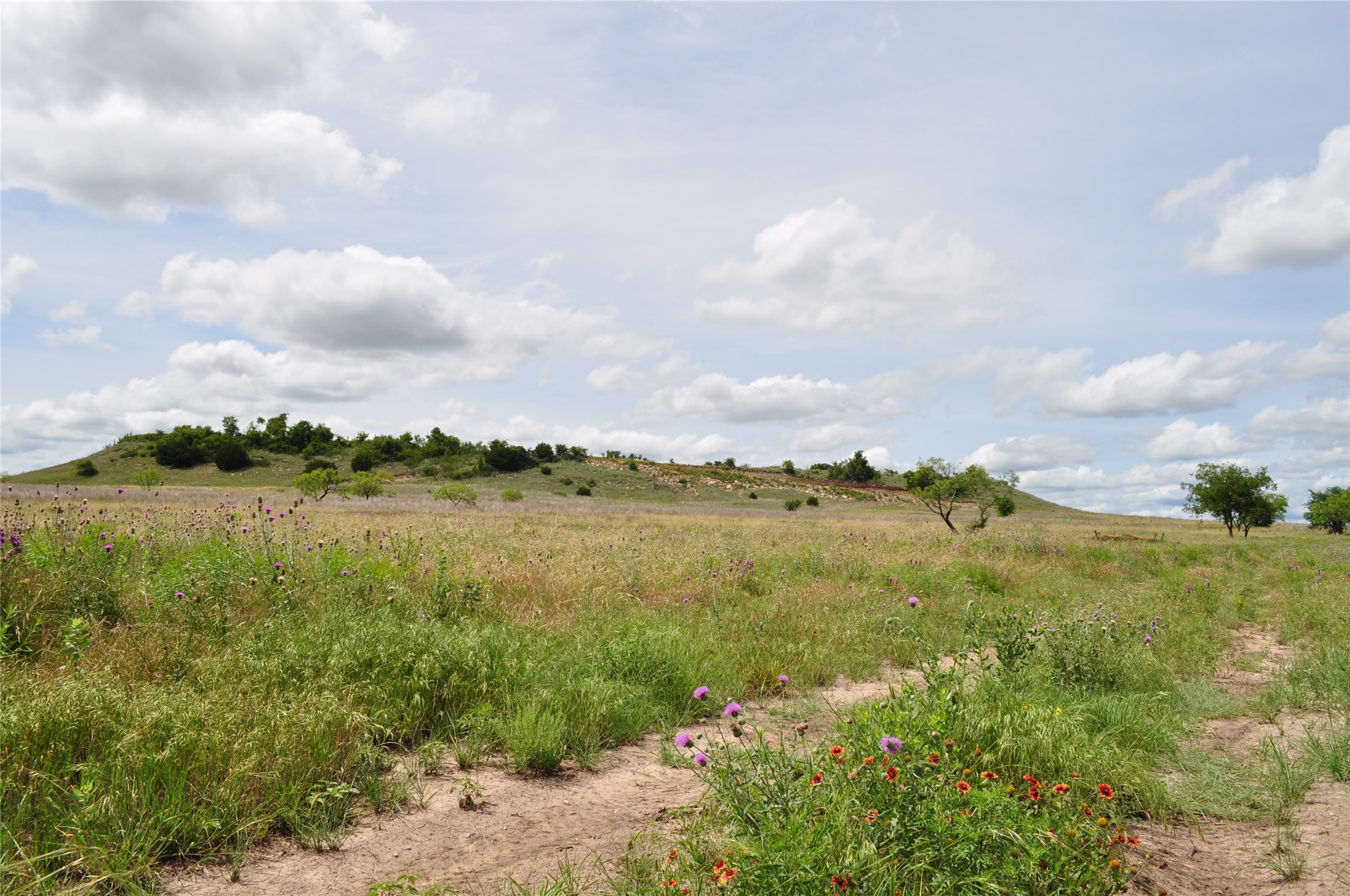 1849 Two Bush Road Perrin TX 76486
