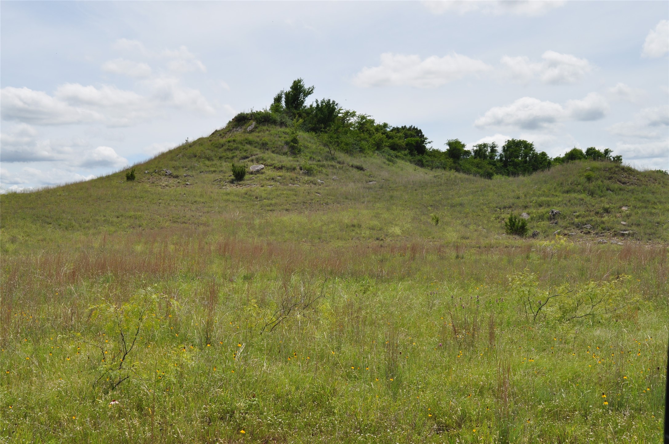 1849 Two Bush Road Perrin TX 76486
