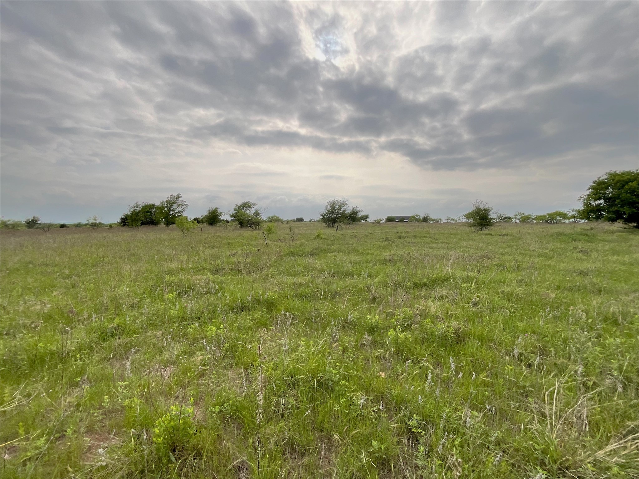 1024 Goodnight Trail Perrin TX 76486