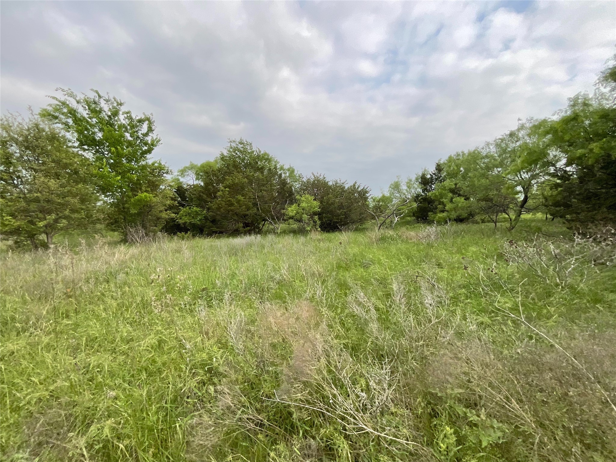 1024 Goodnight Trail Perrin TX 76486