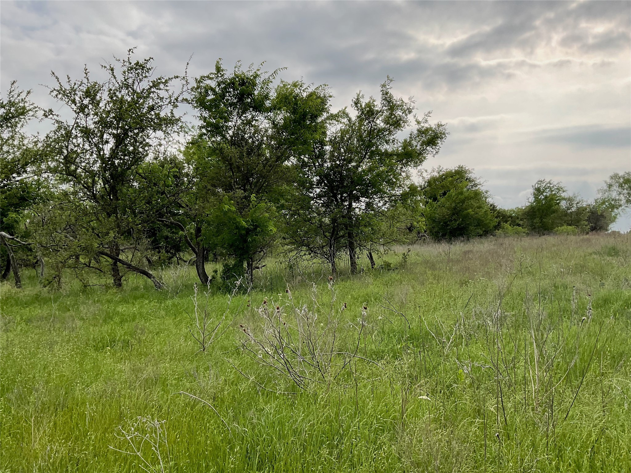 1024 Goodnight Trail Perrin TX 76486