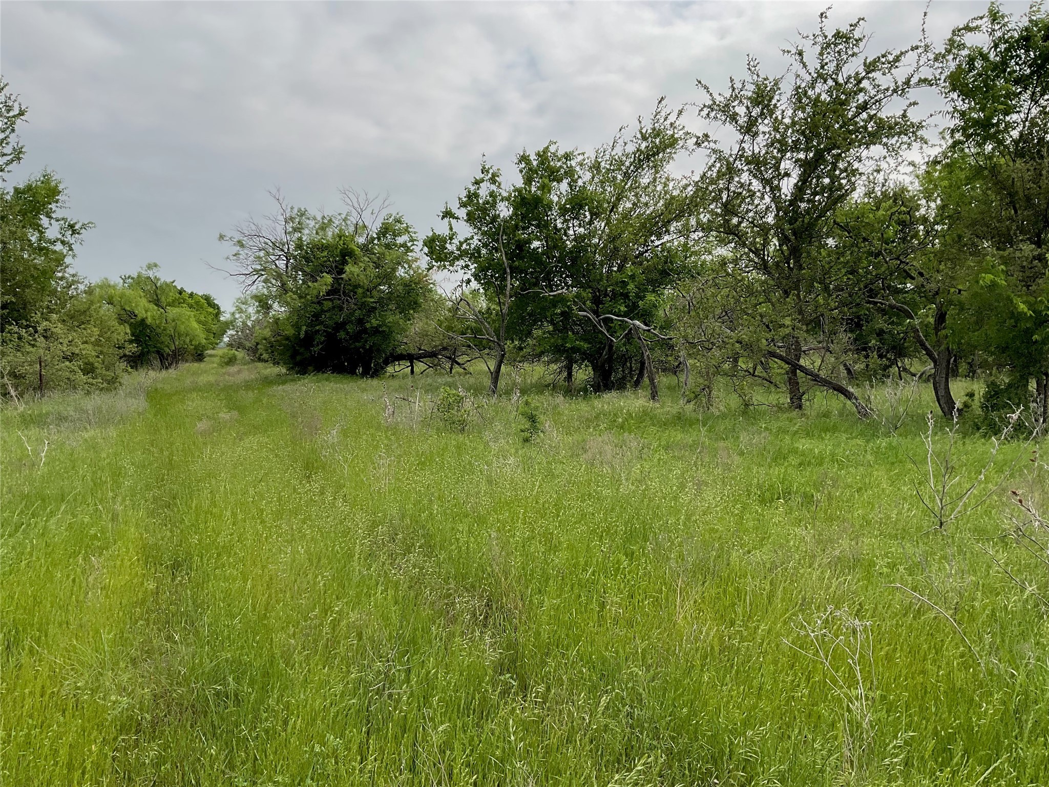 1024 Goodnight Trail Perrin TX 76486