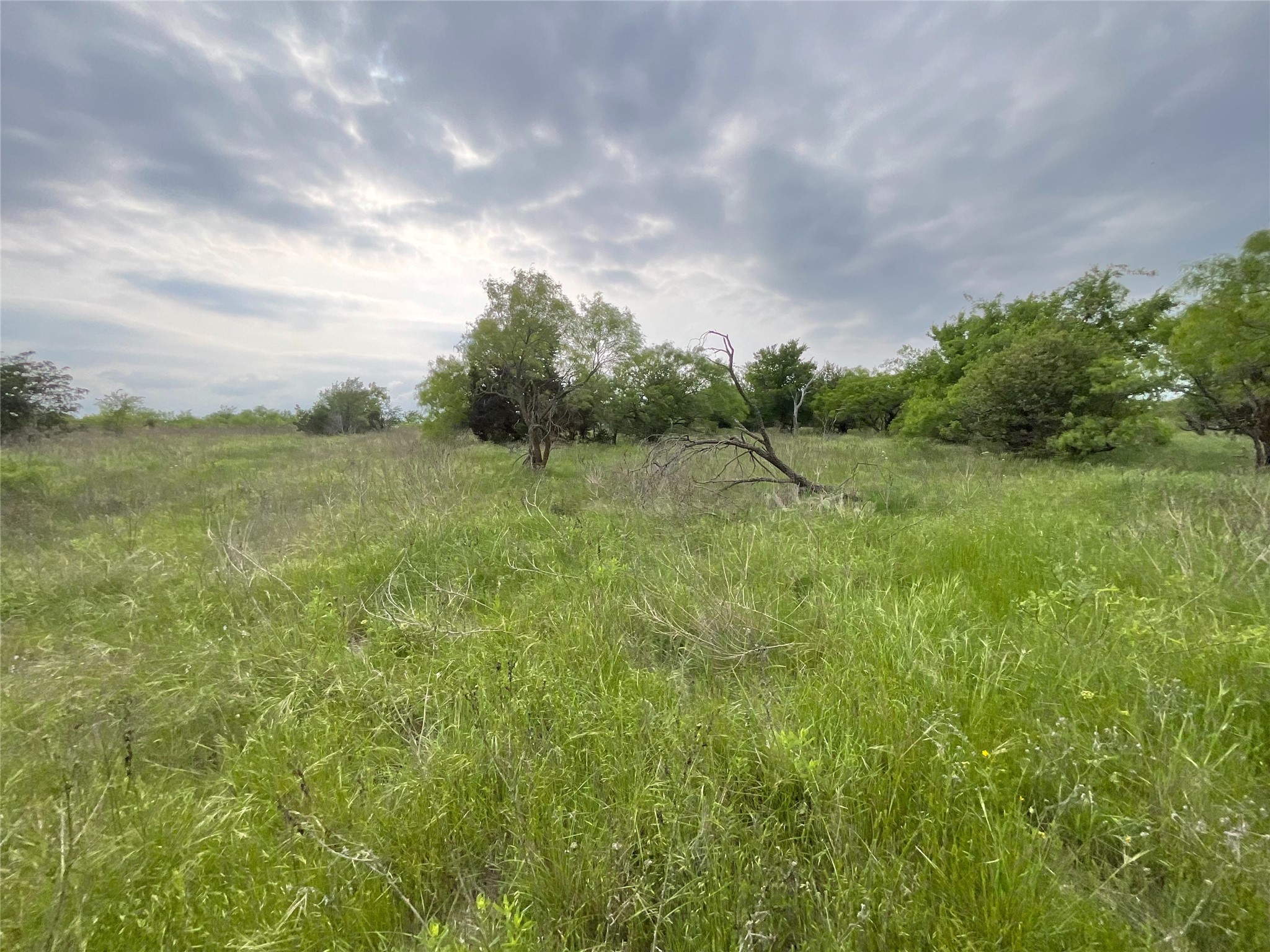 1024 Goodnight Trail Perrin TX 76486
