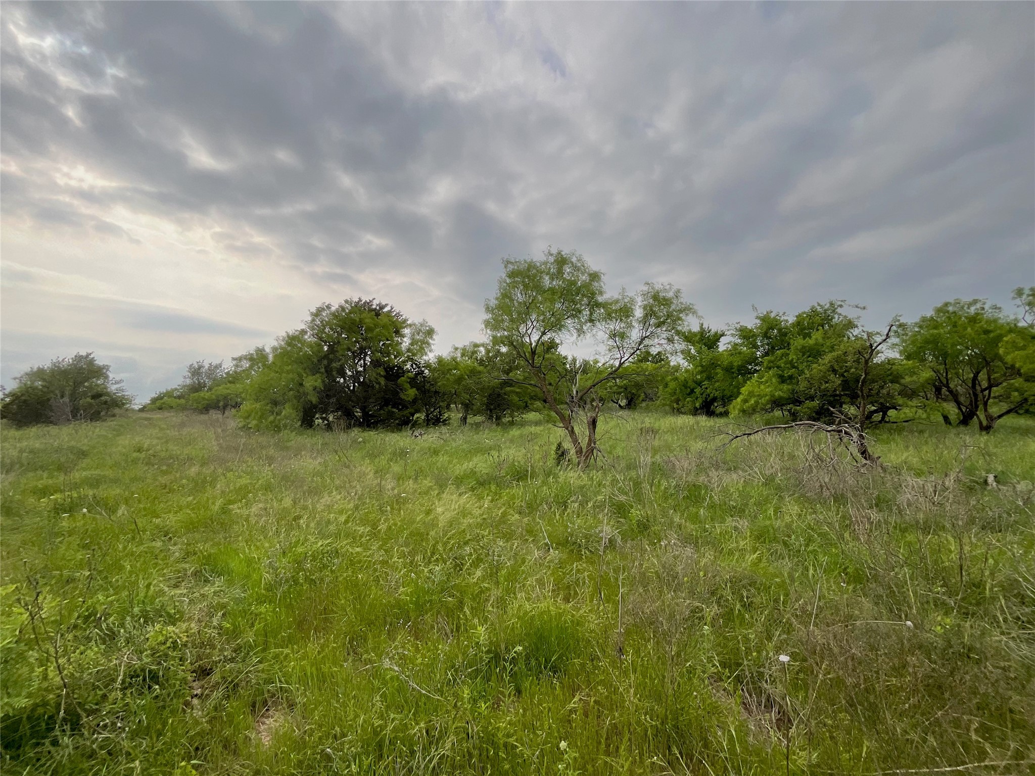 1024 Goodnight Trail Perrin TX 76486