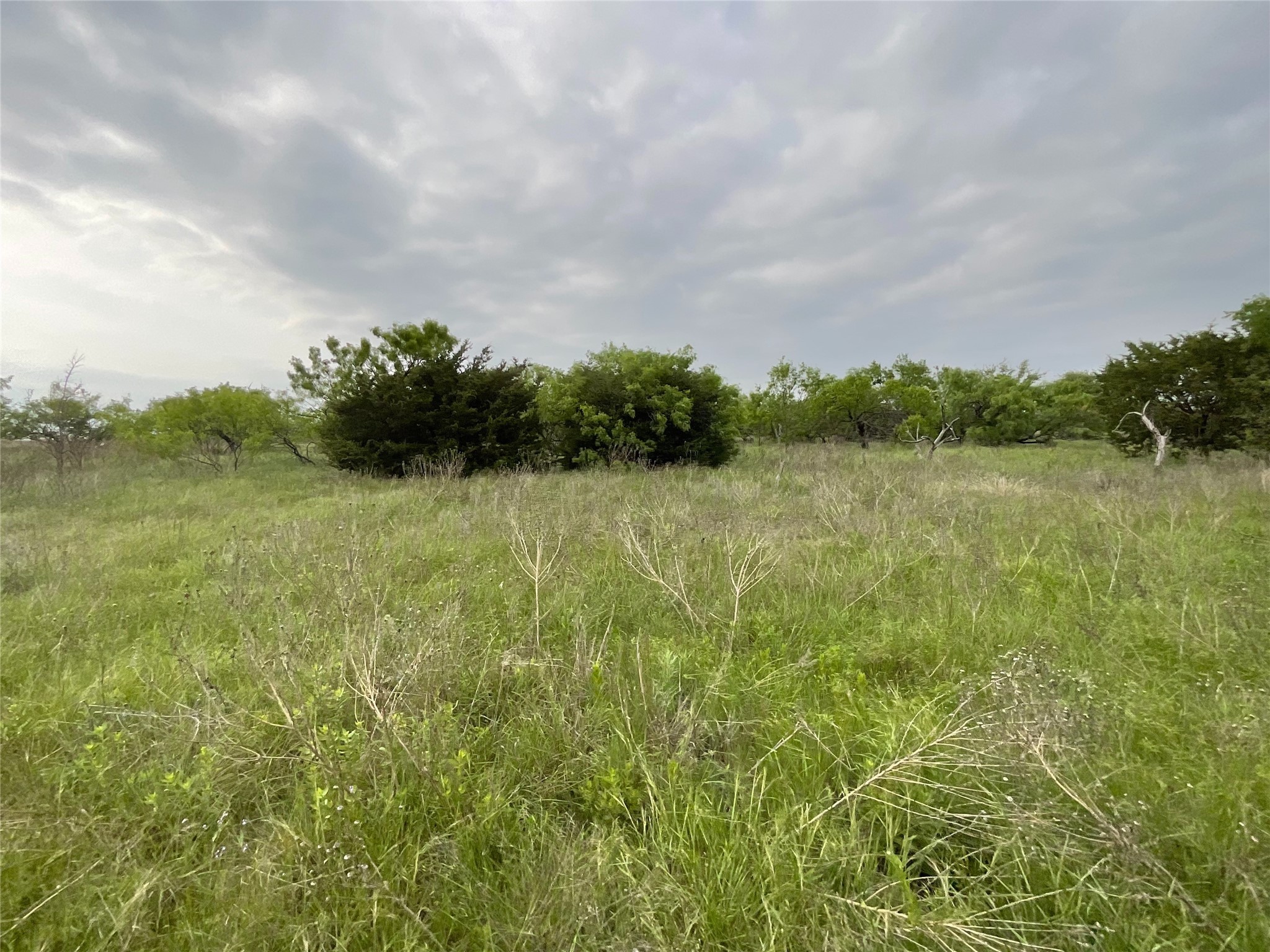 1024 Goodnight Trail Perrin TX 76486