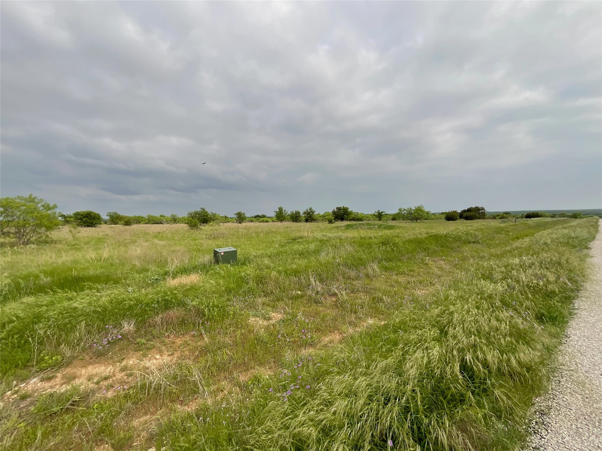 1024 Goodnight Trail Perrin TX 76486