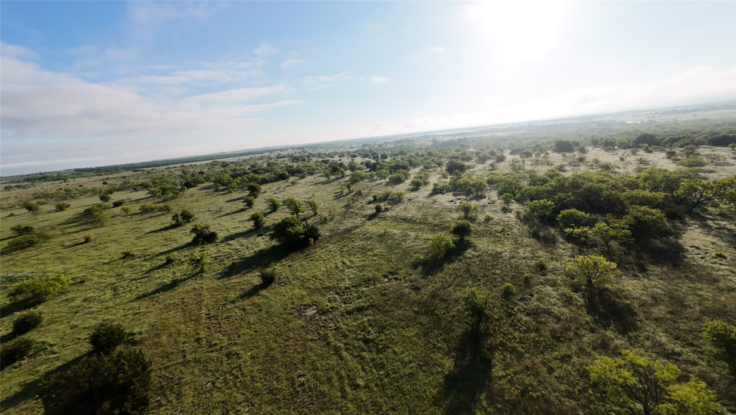 1024 Goodnight Trail Perrin TX 76486