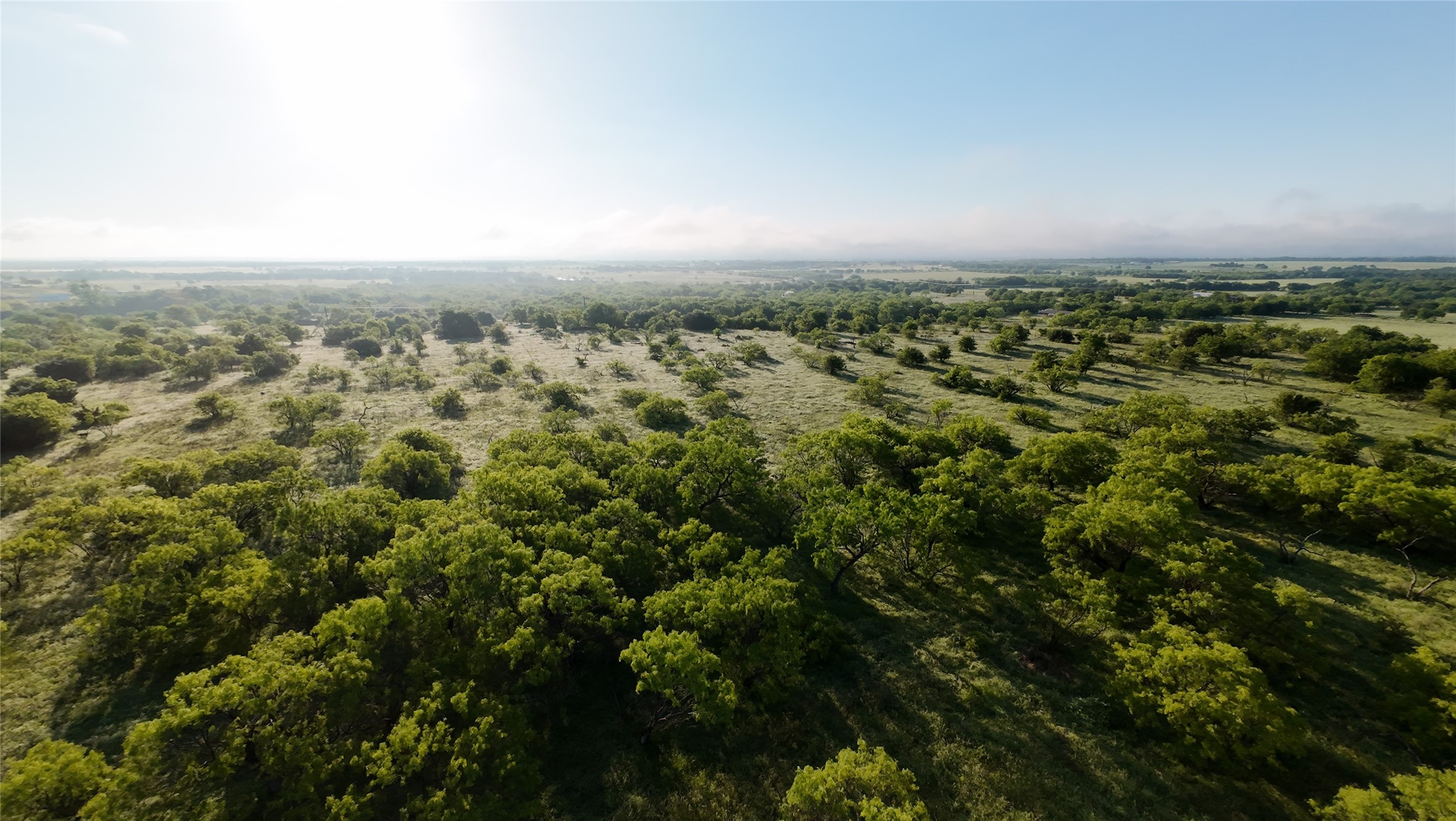 1024 Goodnight Trail Perrin TX 76486