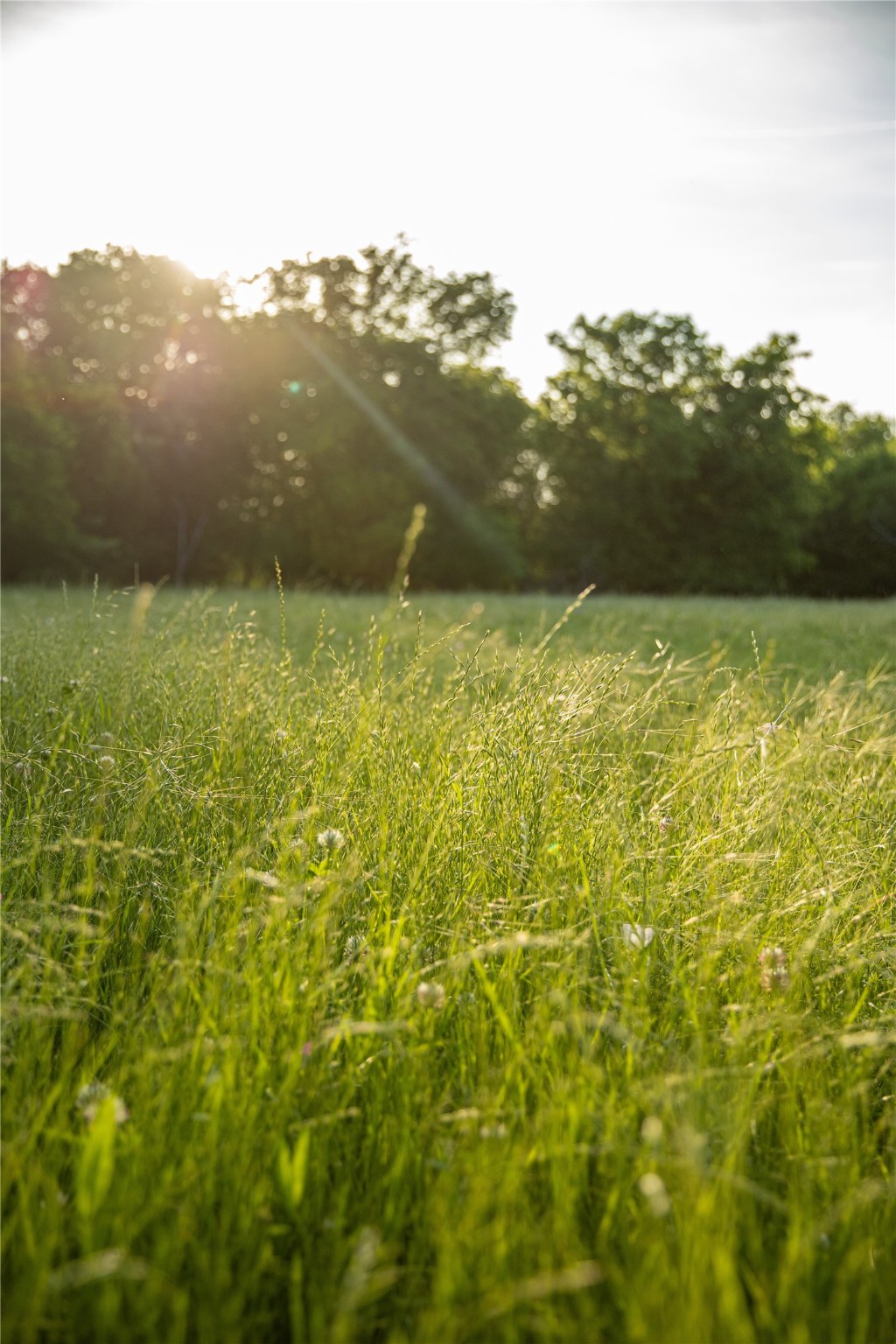 Tbd SW Cr 2349 Richland TX 76681