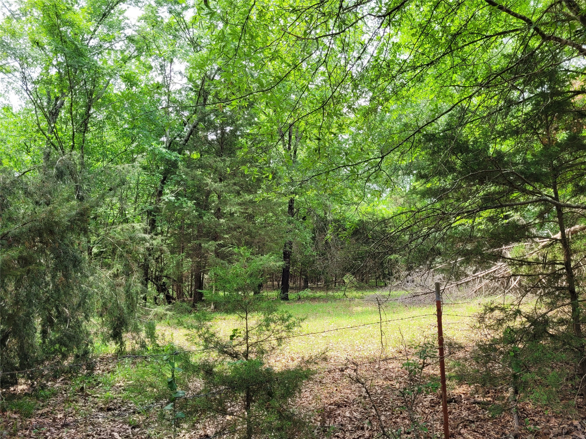 Tbd Cr 3145 Clarksville TX 75426