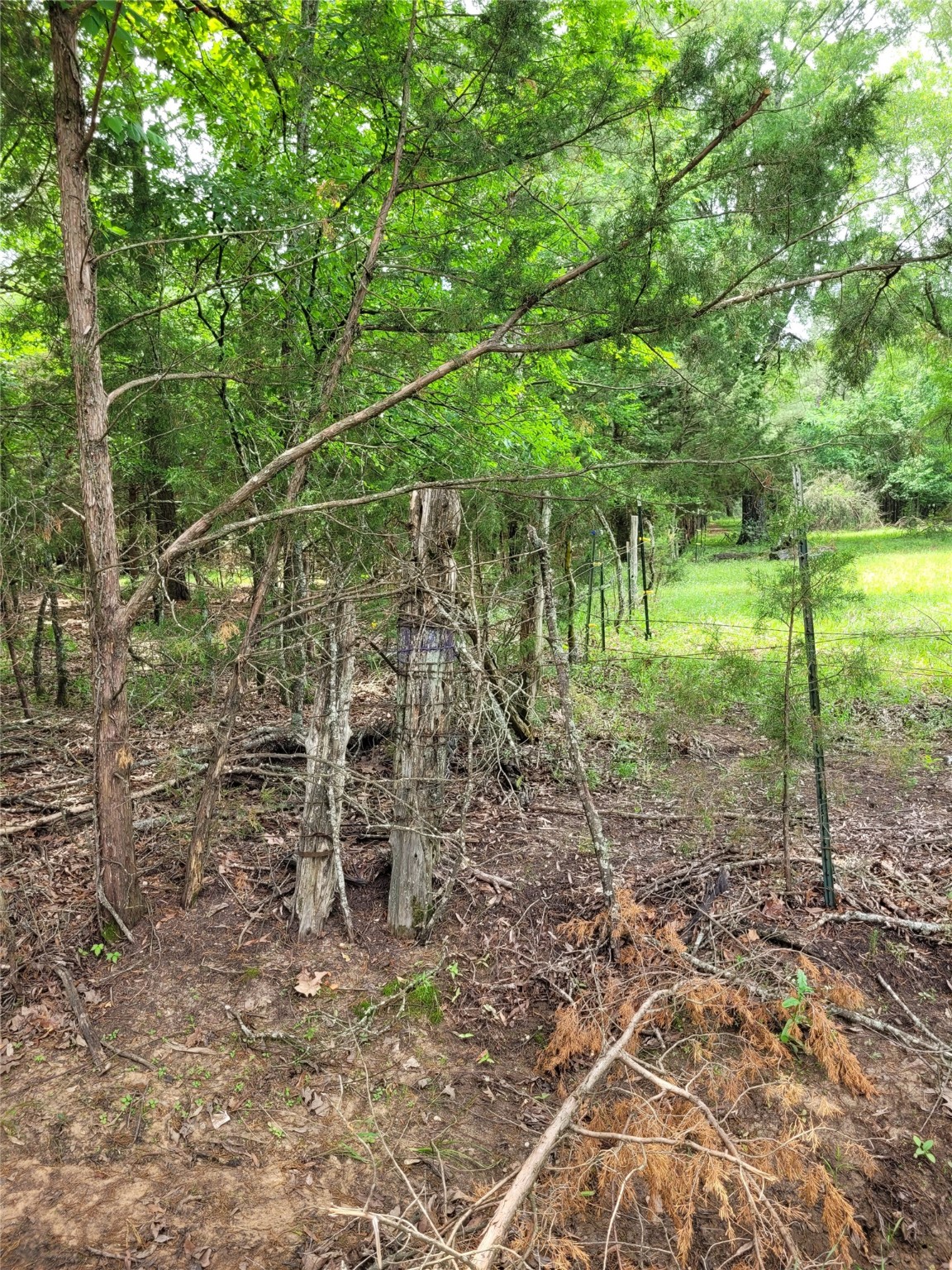 Tbd Cr 3145 Clarksville TX 75426