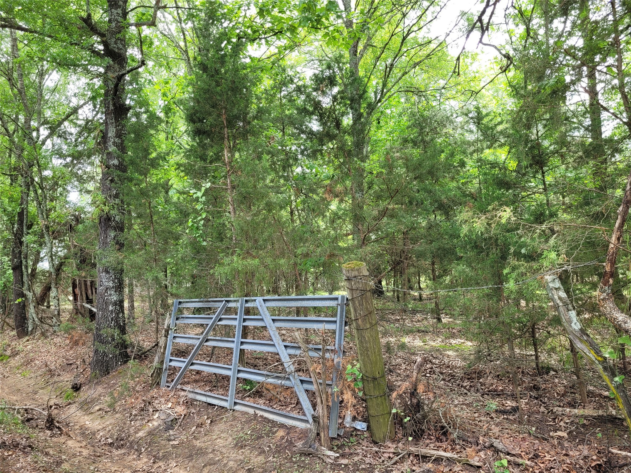 Tbd Cr 3145 Clarksville TX 75426