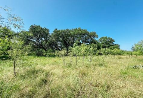 Lot 6 Morris Sheppard Drive Brownwood TX 76801
