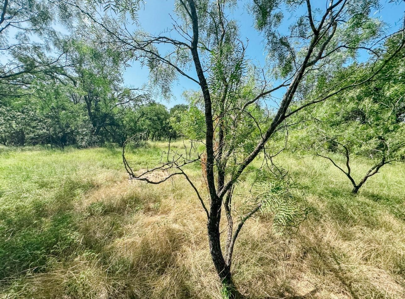 Lot 6 Morris Sheppard Drive Brownwood TX 76801