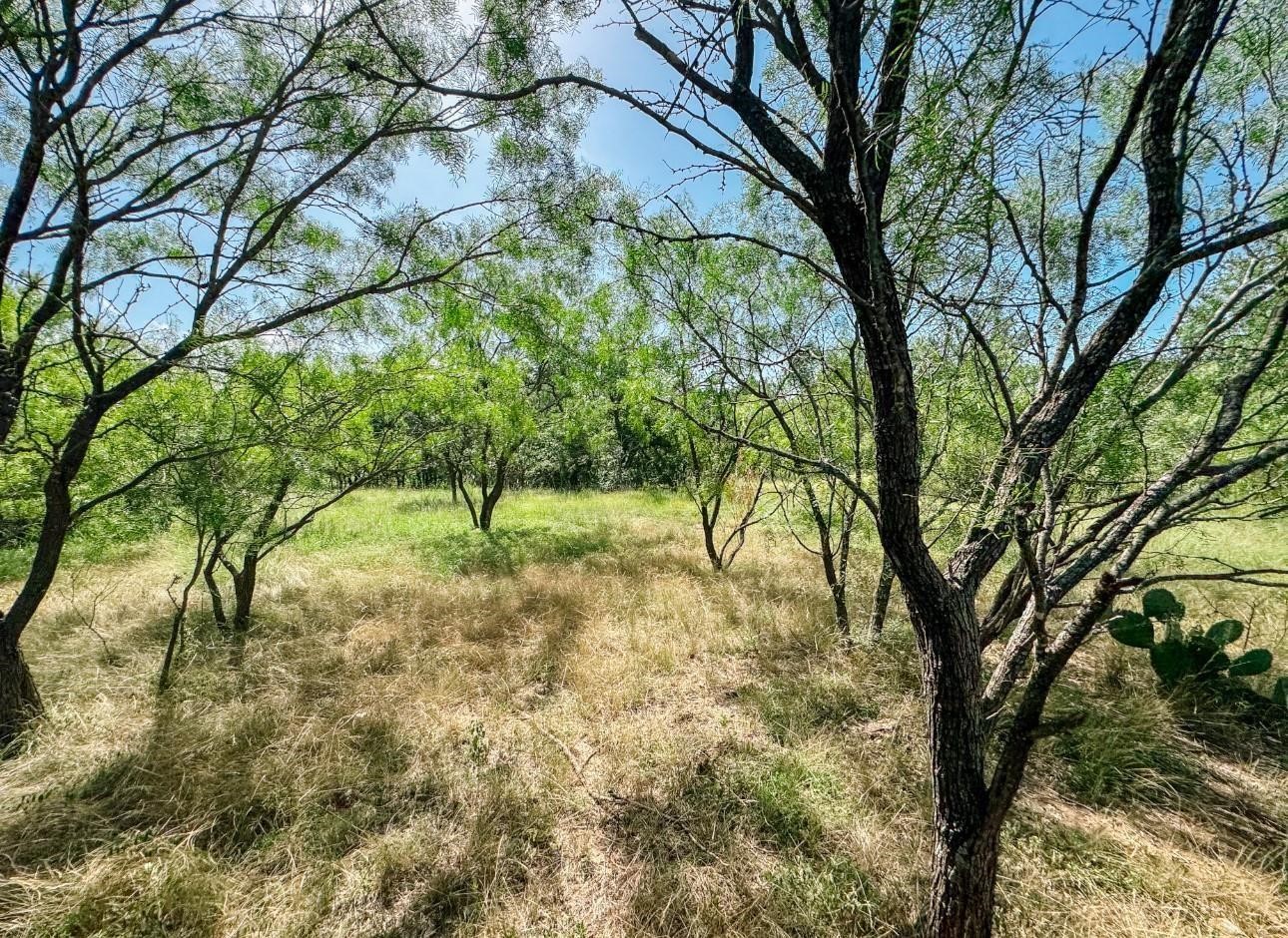 Lot 6 Morris Sheppard Drive Brownwood TX 76801