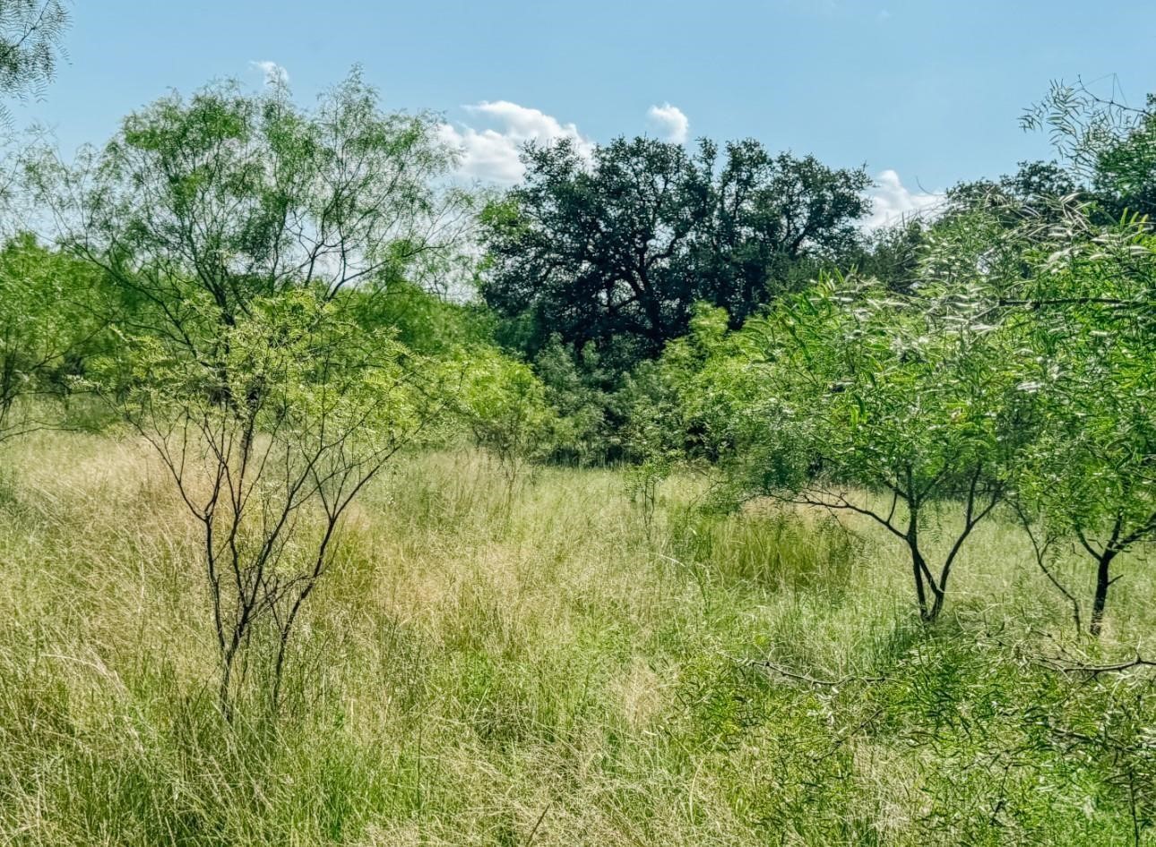 Lot 6 Morris Sheppard Drive Brownwood TX 76801