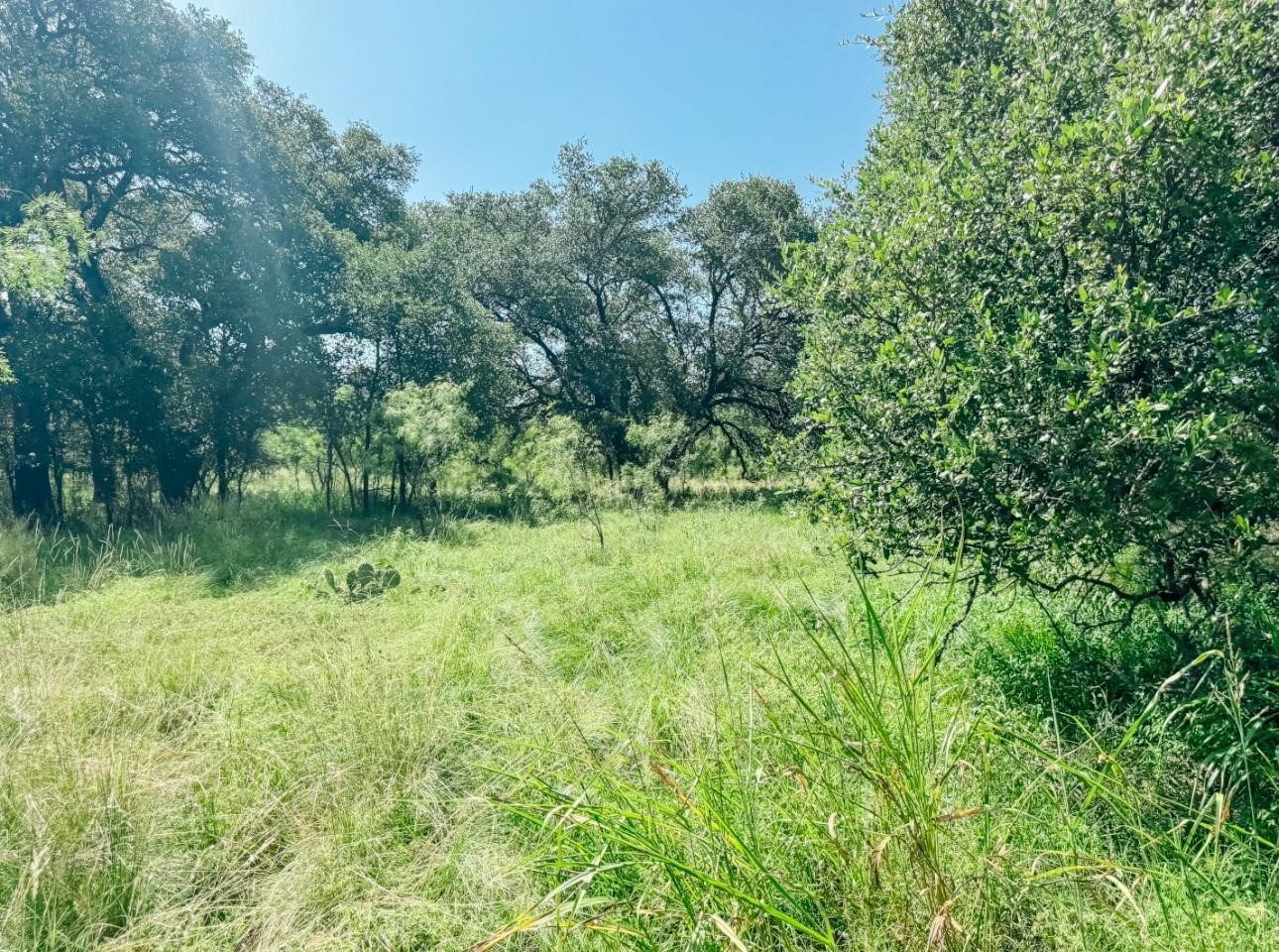 Lot 6 Morris Sheppard Drive Brownwood TX 76801