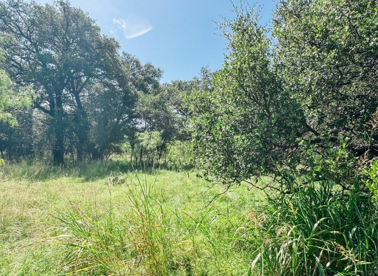 Lot 6 Morris Sheppard Drive Brownwood TX 76801