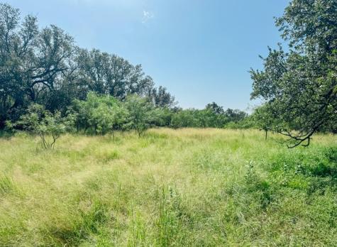 Lot 6 Morris Sheppard Drive Brownwood TX 76801