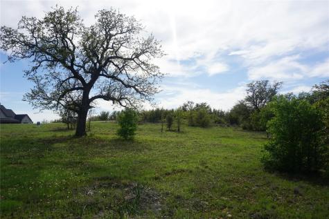2992 Shooting Star Court Graford TX 76449