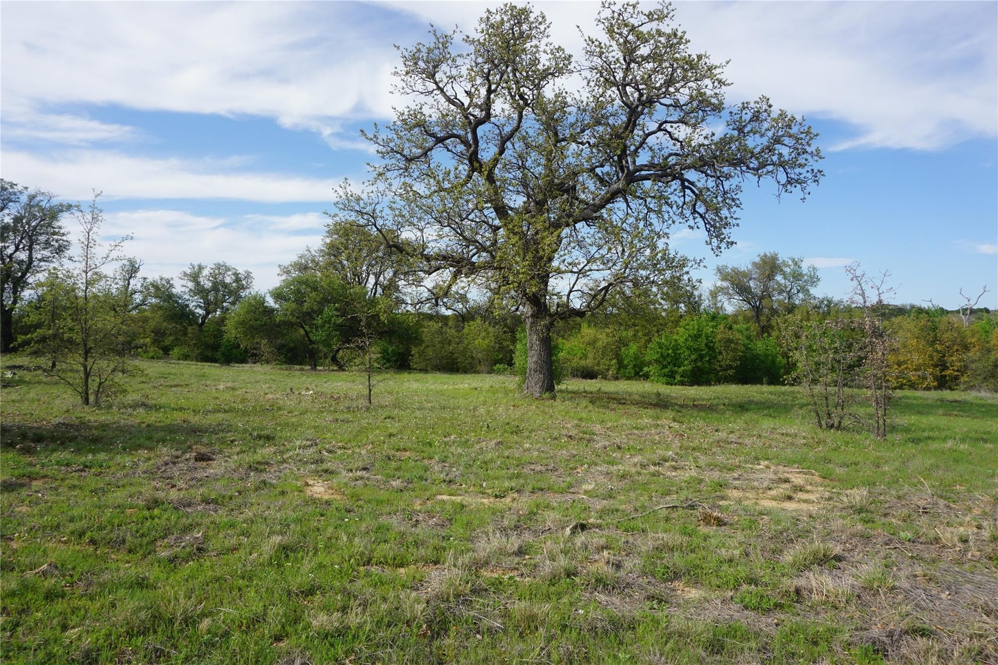 2992 Shooting Star Court Graford TX 76449