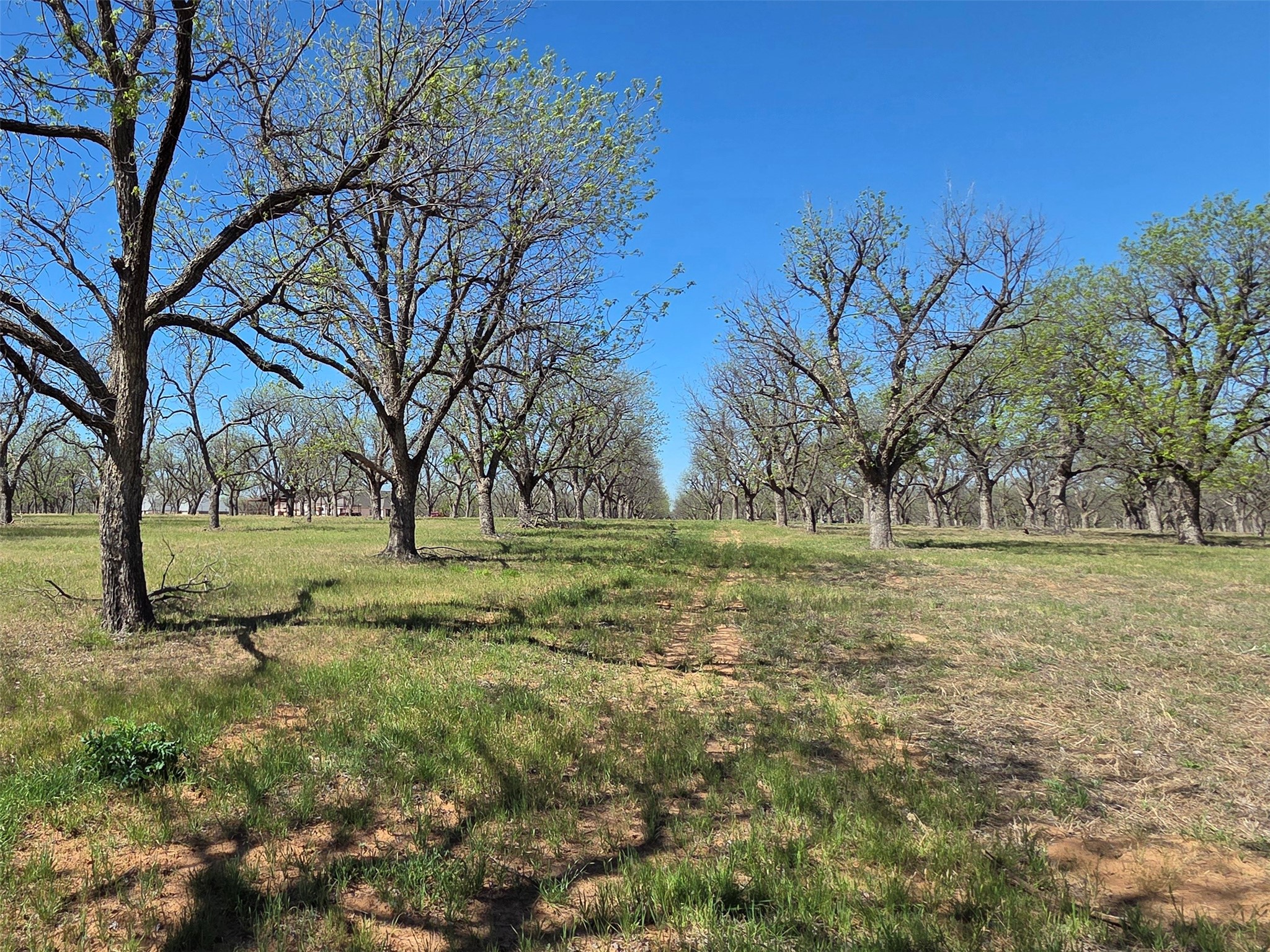 2343 E Landings S Granbury TX 76049