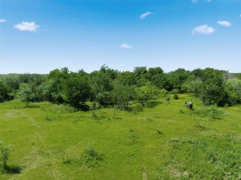 663 N Katy Road Elm Mott TX 76640