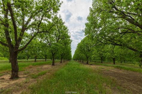 141 Pecan Bayou Lane Brownwood TX 76801
