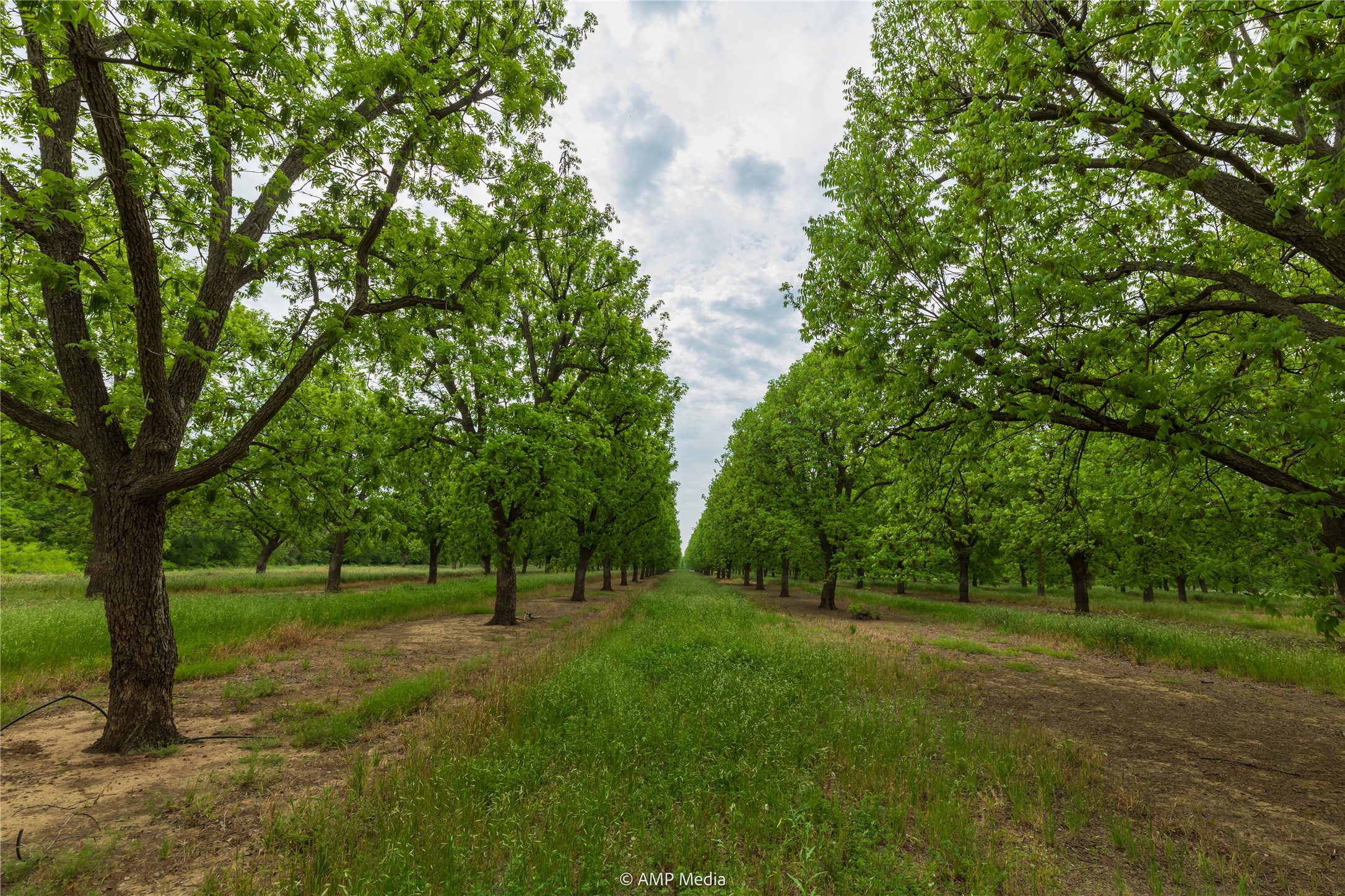 141 Pecan Bayou Lane Brownwood TX 76801