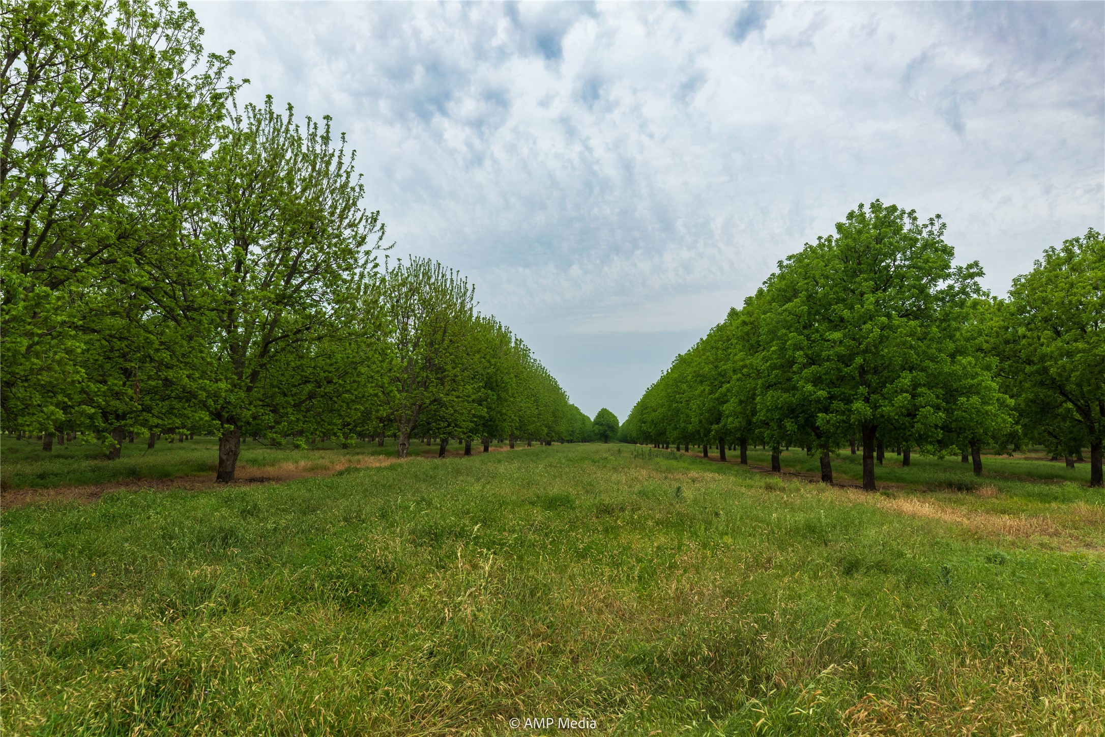 141 Pecan Bayou Lane Brownwood TX 76801
