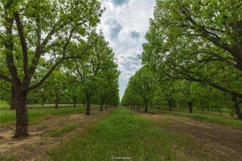 141 Pecan Bayou Lane Brownwood TX 76801