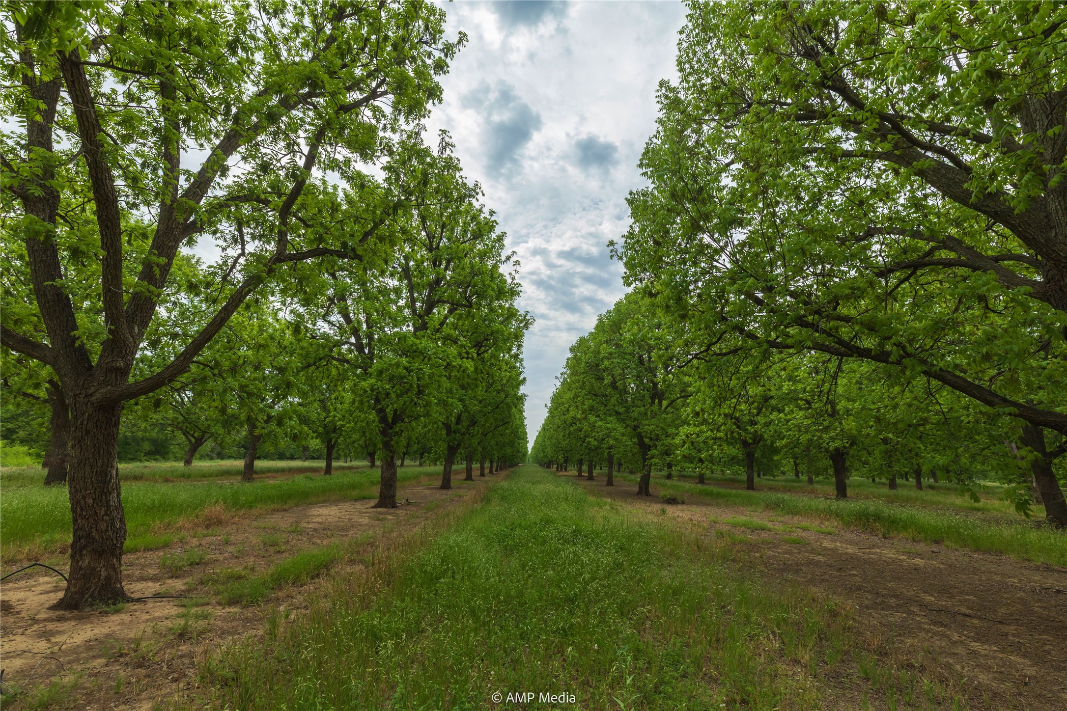 141 Pecan Bayou Lane Brownwood TX 76801