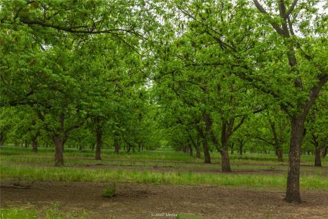141 Pecan Bayou Lane Brownwood TX 76801
