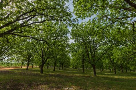 141 Pecan Bayou Lane Brownwood TX 76801