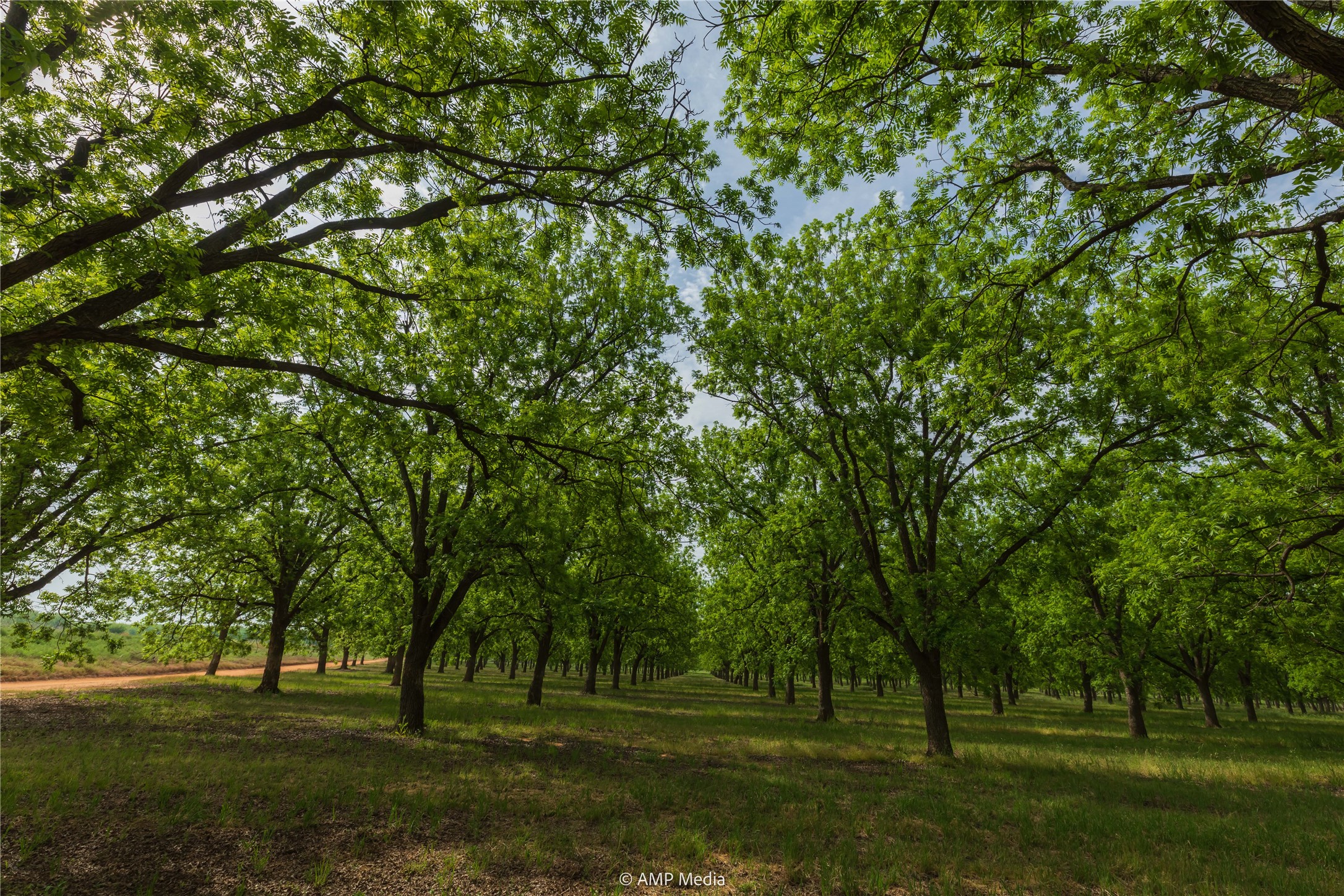 141 Pecan Bayou Lane Brownwood TX 76801