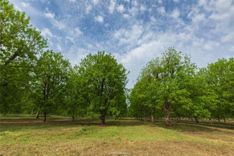 141 Pecan Bayou Lane Brownwood TX 76801