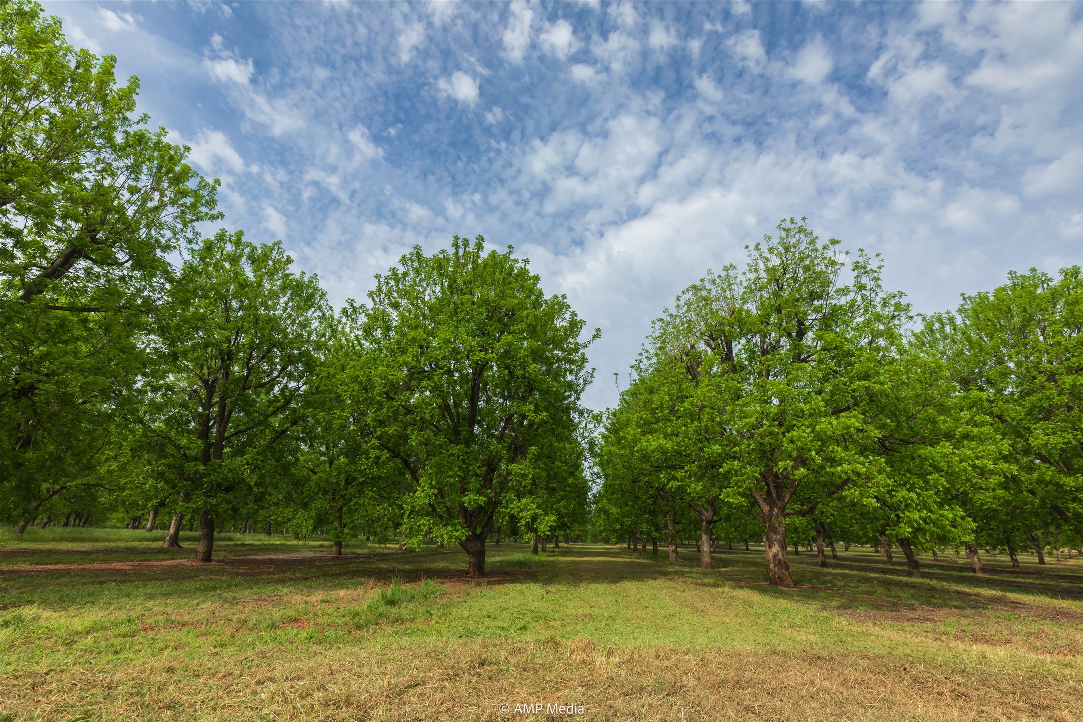 141 Pecan Bayou Lane Brownwood TX 76801