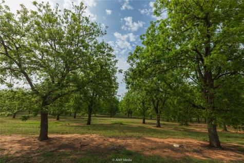 141 Pecan Bayou Lane Brownwood TX 76801