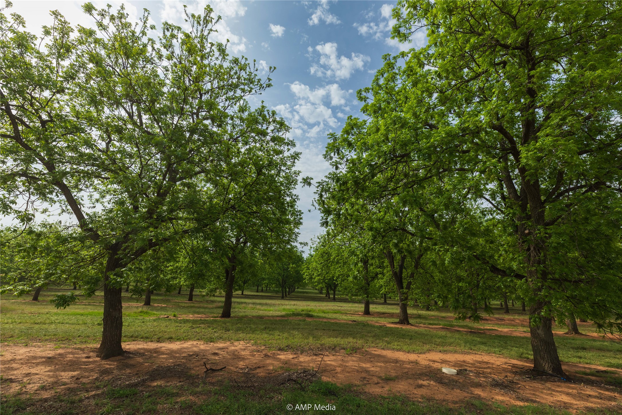 141 Pecan Bayou Lane Brownwood TX 76801
