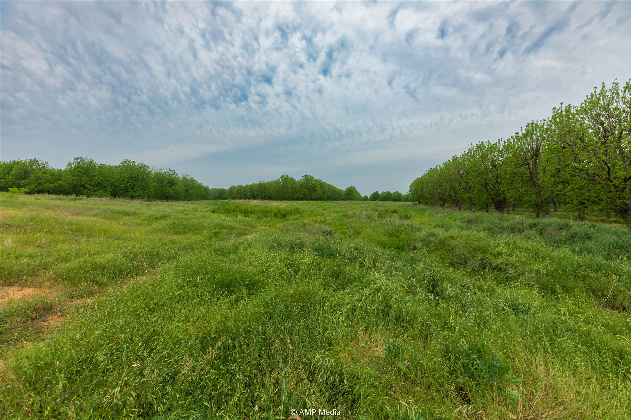 141 Pecan Bayou Lane Brownwood TX 76801
