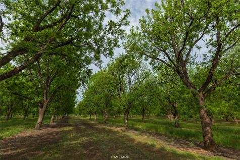 141 Pecan Bayou Lane Brownwood TX 76801