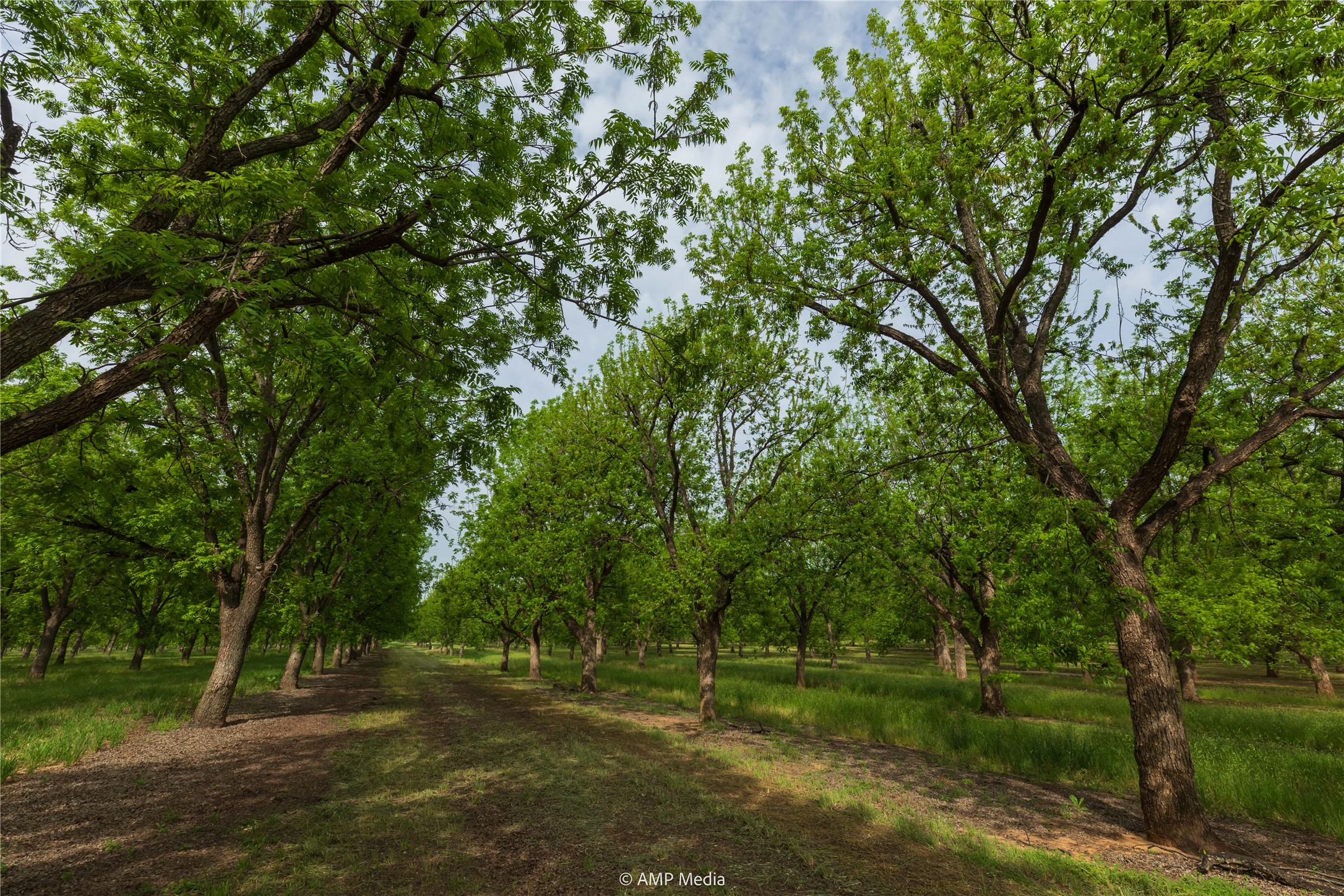 141 Pecan Bayou Lane Brownwood TX 76801