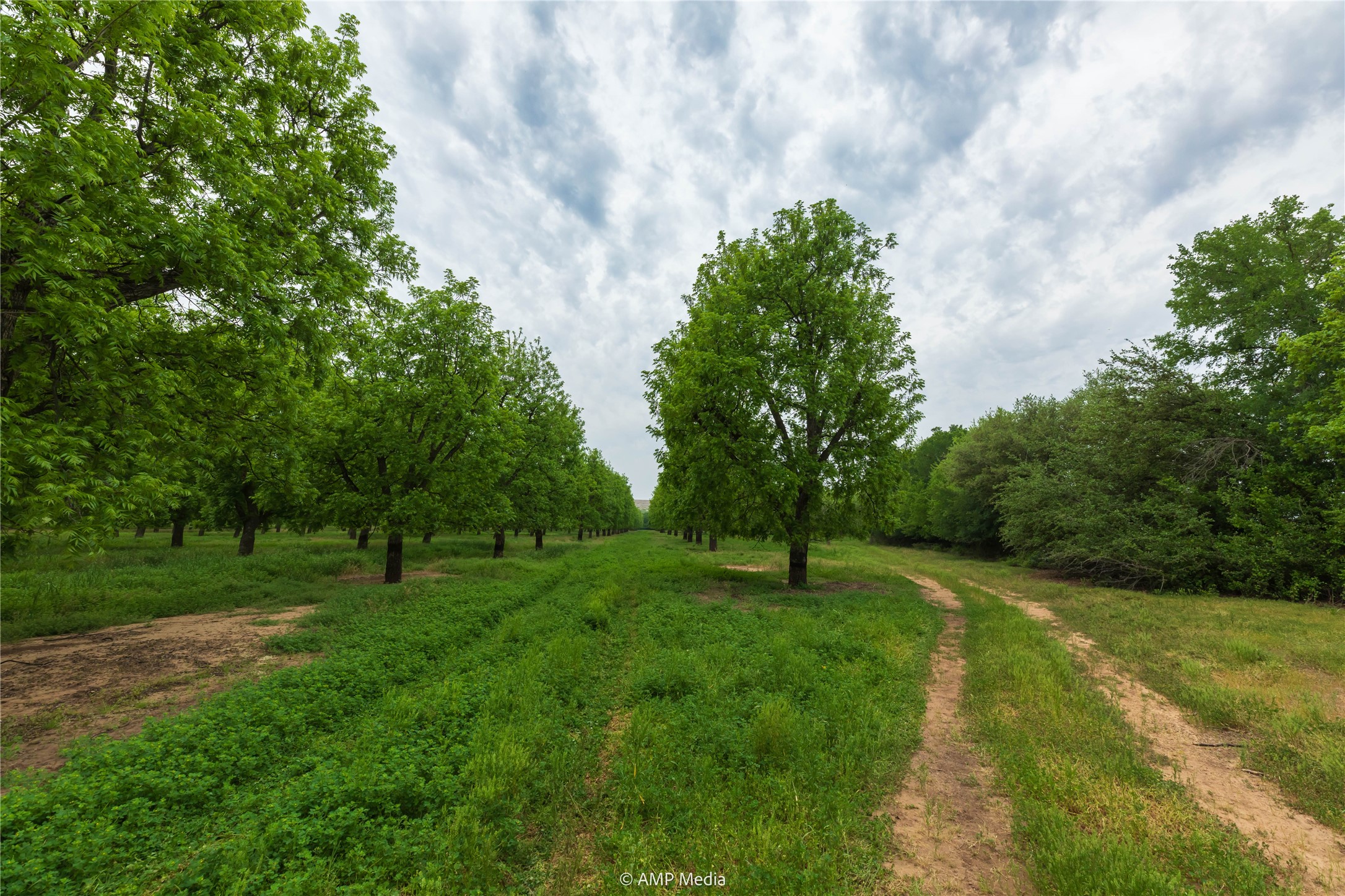 141 Pecan Bayou Lane Brownwood TX 76801